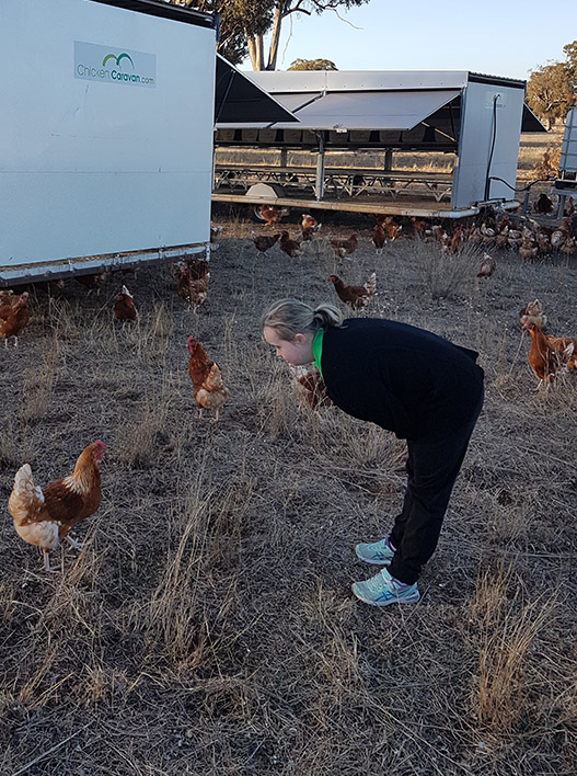 Em with free range chickens